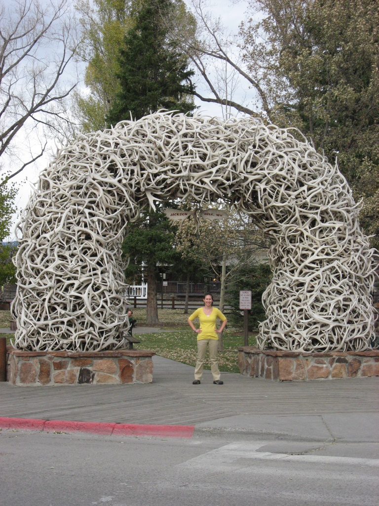 Antler Arch in Jackson Town Square